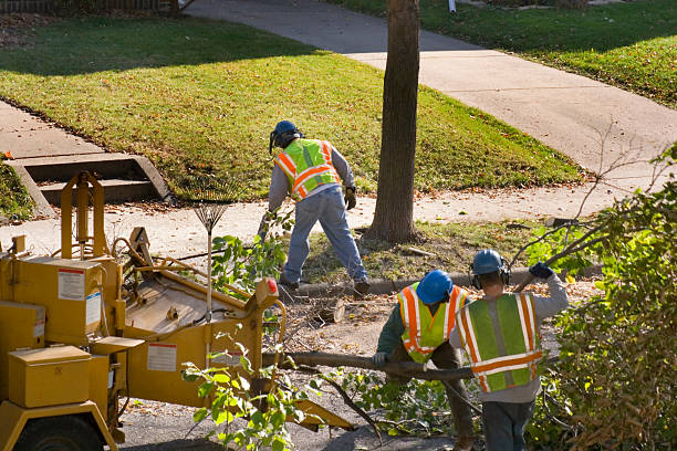 Best Lawn Drainage Solutions  in Hughesville, MD